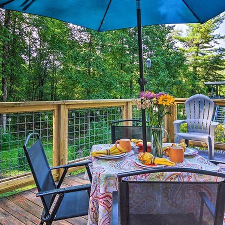 Shaw Creek Cottage With Fire Pit And Forest Views Hendersonville Exterior photo
